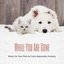While You Are Gone: Music for Your Pets to Calm Separation Anxiety