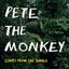Pete The Monkey - Songs from the Jungle