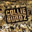 Collie Buddz