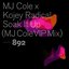Soak It Up (MJ Cole VIP Mix)