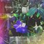 Bloom - Single