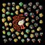 Scaring 1100 Chickens To Death