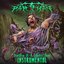 Desolation of a Ceaseless Dawn (Instrumental)
