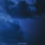 Birds - Single