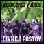 Velociped Vopice