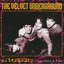 A Walk with the Velvet Underground (Disc 4)