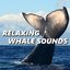 Relaxing Whale Sounds