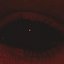 fear in your eyes.