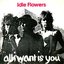 All I Want Is You