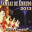 Sambas De Enredo Das Escolas De Samba - 2013