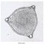 Diatoms