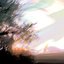 Rabbit Holes and Whirlwinds