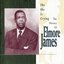 The Sky Is Crying - The History Of Elmore James