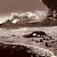 Desolation and Hope
