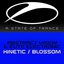 Kinetic / Blossom