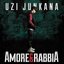 Amore E Rabbia