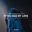 If You Had My Love