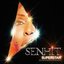 Superstar (feat. Boy George) - Single