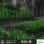 SACRED GROVE ONLINE