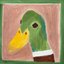 Mallard Westcott