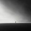 Echoes of Serenity