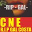 R.I.P Gal Costa