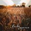 You Say - Single