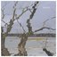 Inure - EP