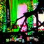 Malarial Dream