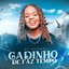 Gadinho de Faz Tempo