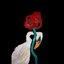 Napkin - Single