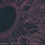 Starvation - Single
