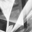 Monochrome ga Hansu Suru