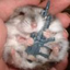 Avatar for terrorhamster