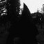 Exorcism In Moonlight