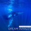 Dream Whales