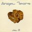 Angel Tears, Volume 2