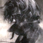 Avatar for Last_Exile