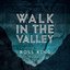 Walk in the Valley - Single