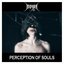 Perception of Souls - Single