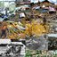 Jonestown Revival