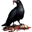 Avatar for killer_crow