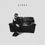 Zebra - Single