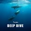 Deep Dive