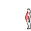 Avatar for casualmaleXL1
