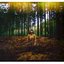 When Are We Out of The Woods?