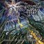 Episodes Of Chaotic Extinction
