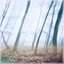 Imbolc