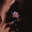 Lotus - Single