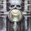 Brain Salad Surgery